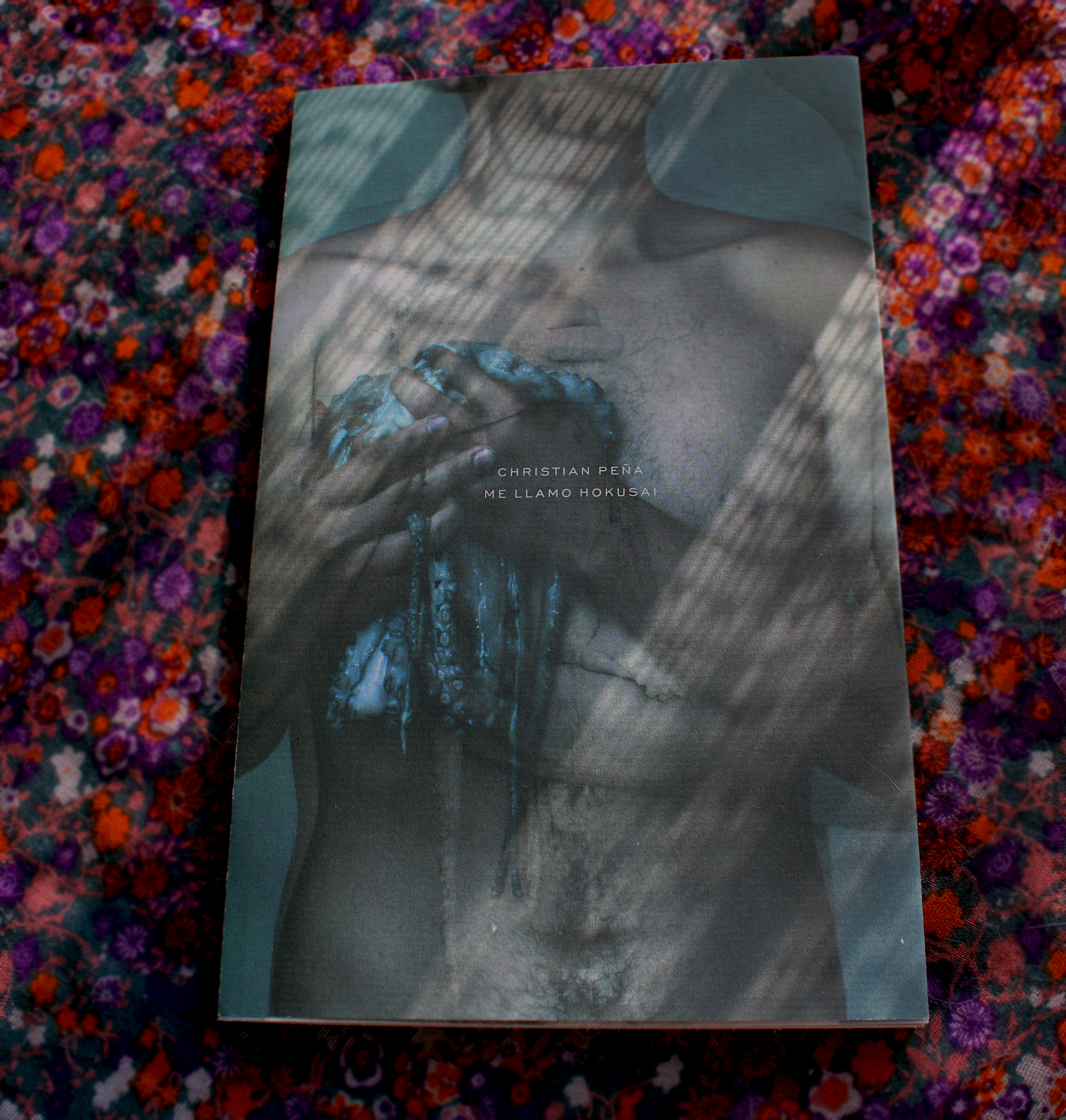 Me llamo Hokusai. Autor: Christian Peña
